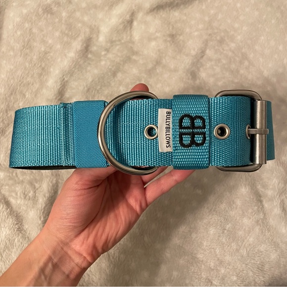 Nylon Dog Collar - Picture 2 of 3